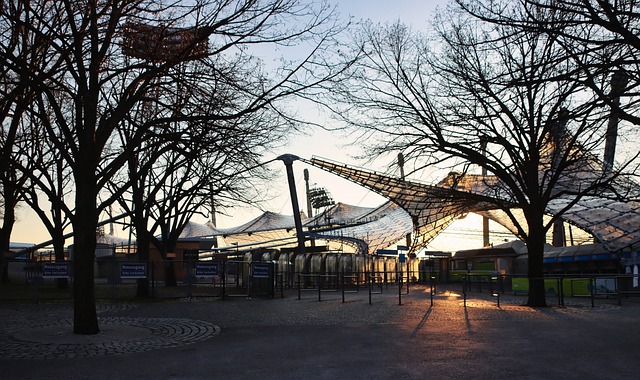 场上展现出